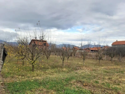 Voćnjak
