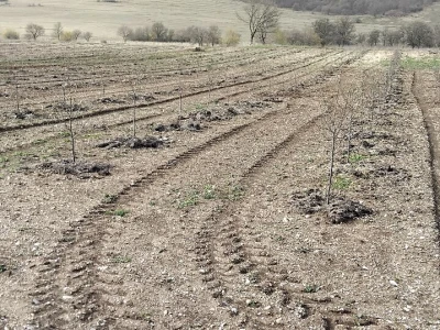 Voćnjak i destilerija u Grkovcima