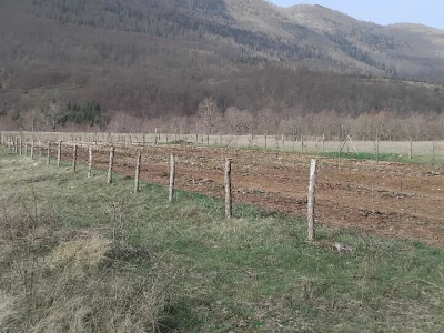 Voćnjak i destilerija u Grkovcima