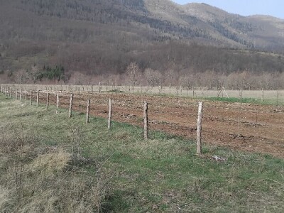 Voćnjak i destilerija u Grkovcima Voćnjak i destilerija u Grkovcima
