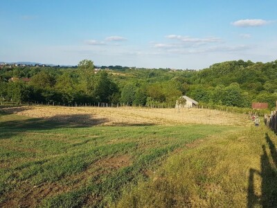 VOĆNJAK IZ DOBA KORONE