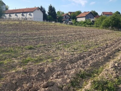 VOĆNJAK IZ DOBA KORONE