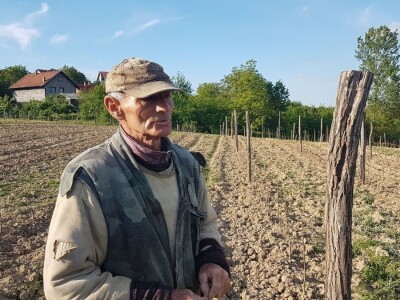 VOĆNJAK IZ DOBA KORONE