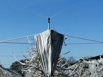 Voćnjak Marka Kudeca u ledu Voćnjak Marka Kudeca u ledu