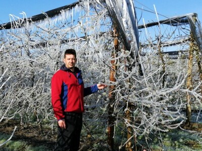 Voćnjak Marka Kudeca u ledu Voćnjak Marka Kudeca u ledu