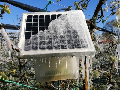 Voćnjak Marka Kudeca u ledu Voćnjak Marka Kudeca u ledu