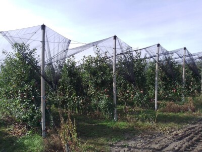 Voćnjak Matka Zelića