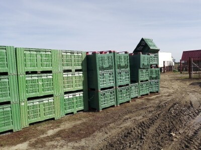 Voćnjak Matka Zelića