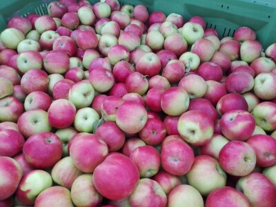 Voćnjak Matka Zelića