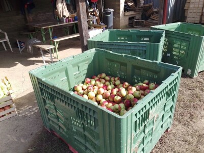 Voćnjak Matka Zelića