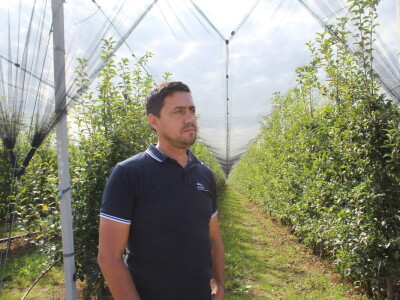 Voćnjak OPG-a Miroslava Kolića i PO Crovita Jarmina