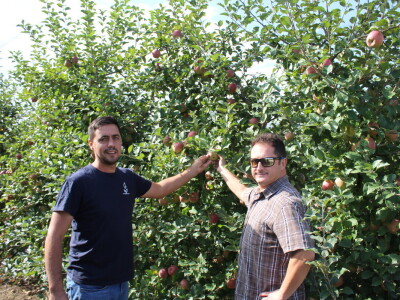 Voćnjak OPG-a Miroslava Kolića i PO Crovita Jarmina