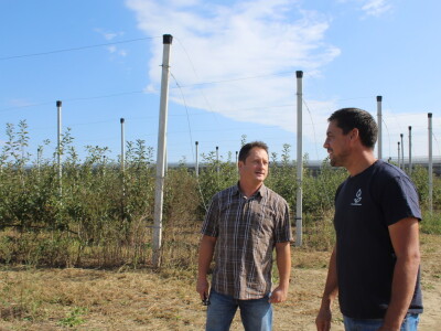 Voćnjak OPG-a Miroslava Kolića i PO Crovita Jarmina