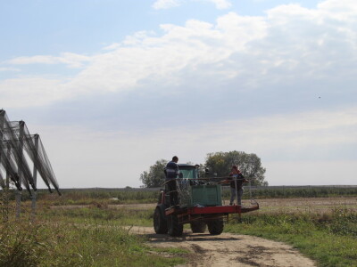 Voćnjak OPG-a Miroslava Kolića i PO Crovita Jarmina