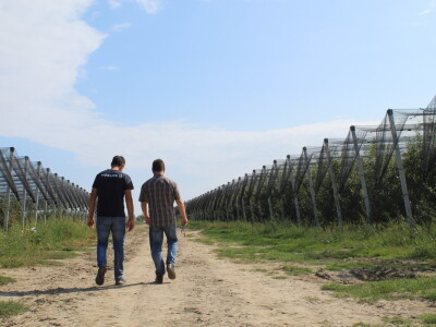Voćnjak OPG-a Miroslava Kolića i PO Crovita Jarmina
