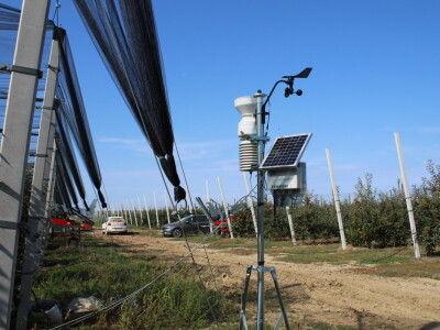 Voćnjak OPG-a Miroslava Kolića i PO Crovita Jarmina