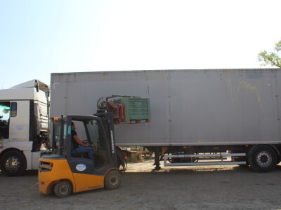 Voćnjak OPG-a Miroslava Kolića i PO Crovita Jarmina