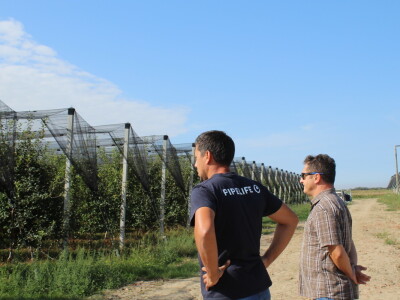Voćnjak OPG-a Miroslava Kolića i PO Crovita Jarmina