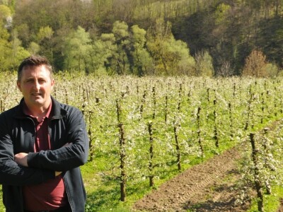 VOĆNJAK PORODICE VAJIĆ