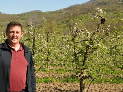 VOĆNJAK PORODICE VAJIĆ