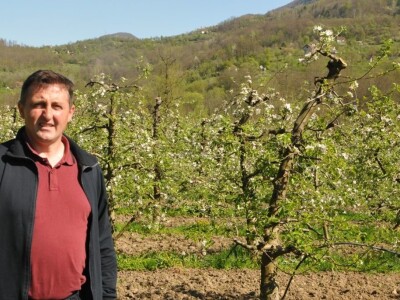 VOĆNJAK PORODICE VAJIĆ