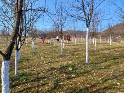 Voćnjak Željka Bubića Voćnjak Željka Bubića