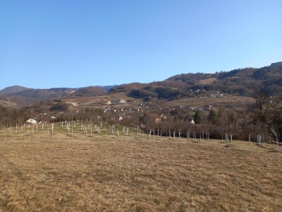 Voćnjak Željka Bubića Voćnjak Željka Bubića