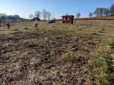 Voćnjak Željka Bubića Voćnjak Željka Bubića