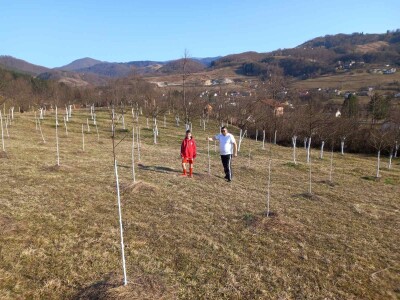 Voćnjak Željka Bubića Voćnjak Željka Bubića