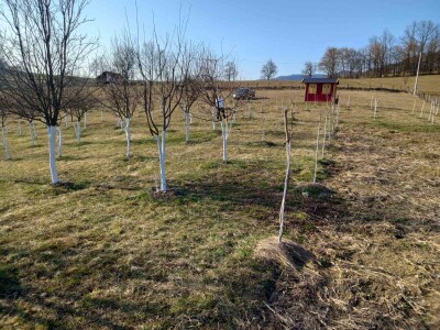Voćnjak Željka Bubića Voćnjak Željka Bubića