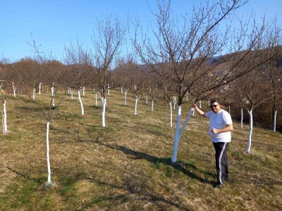 Voćnjak Željka Bubića Voćnjak Željka Bubića