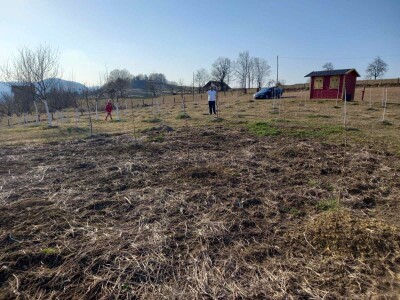 Voćnjak Željka Bubića Voćnjak Željka Bubića