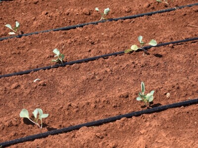 Voda i ekologija budućnost su suvremenog turizma i poljoprivrede