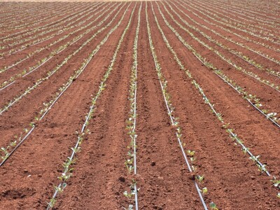 Voda i ekologija budućnost su suvremenog turizma i poljoprivrede