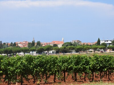 Voda i ekologija budućnost su suvremenog turizma i poljoprivrede