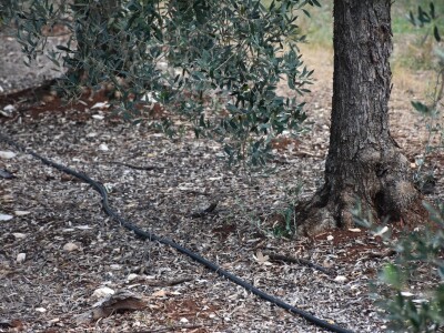 Voda i ekologija budućnost su suvremenog turizma i poljoprivrede