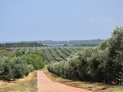 Voda i ekologija budućnost su suvremenog turizma i poljoprivrede