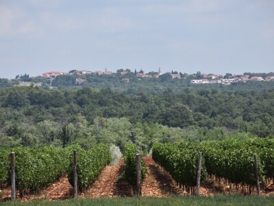 Voda i ekologija budućnost su suvremenog turizma i poljoprivrede