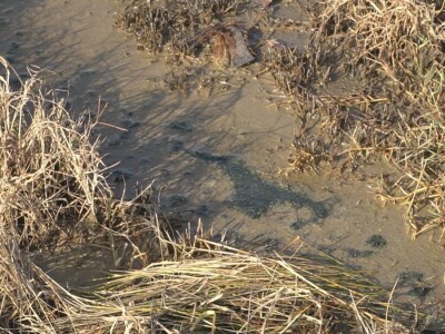 Voda iz istražne bušotine