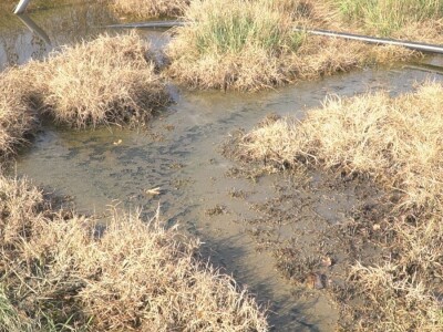 Voda iz istražne bušotine