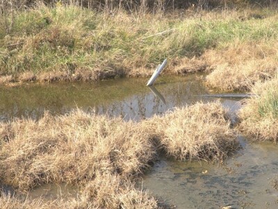 Voda iz istražne bušotine