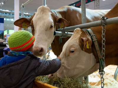 Vodeći sajam za animalnu proizvodnju - EuroTier u Hannoveru