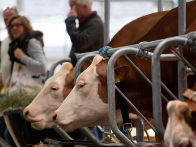 Vodeći sajam za animalnu proizvodnju - EuroTier u Hannoveru