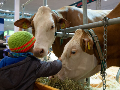 Vodeći sajam za animalnu proizvodnju - EuroTier u Hannoveru