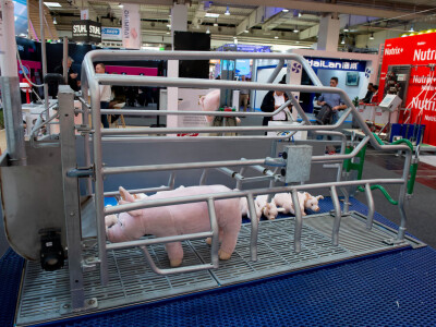 Vodeći sajam za animalnu proizvodnju - EuroTier u Hannoveru