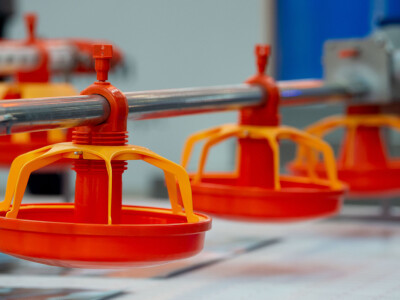 Vodeći sajam za animalnu proizvodnju - EuroTier u Hanoveru