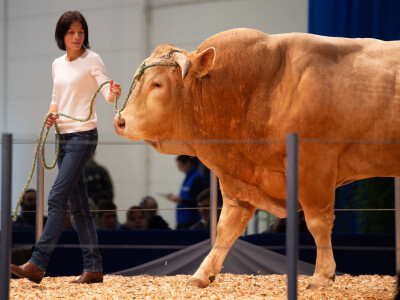 Vodeći sajam za animalnu proizvodnju - EuroTier u Hanoveru
