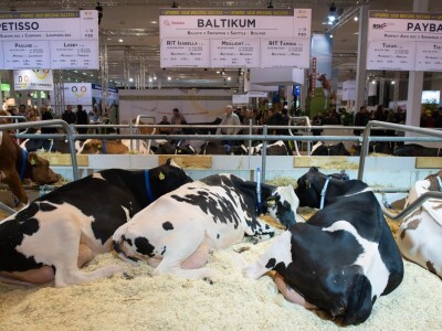 Vodeći sajam za animalnu proizvodnju - EuroTier u Hanoveru