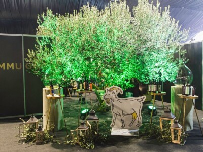 Vodnjan - 19. Dani mladog maslinovog ulja