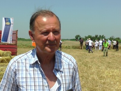 Vojvođanski paori očekuju skromnu zaradu na pšenici